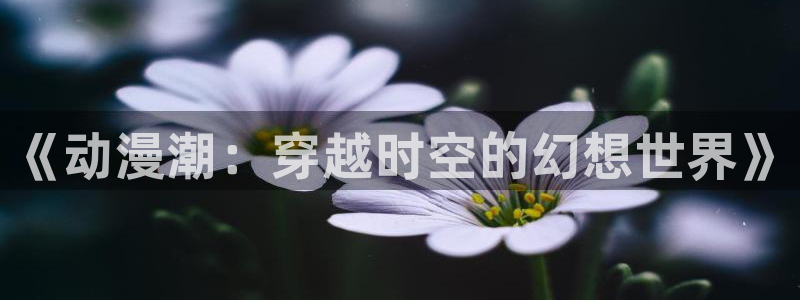 佐鸣同人动漫：《动漫潮：穿越时空的幻想世界》