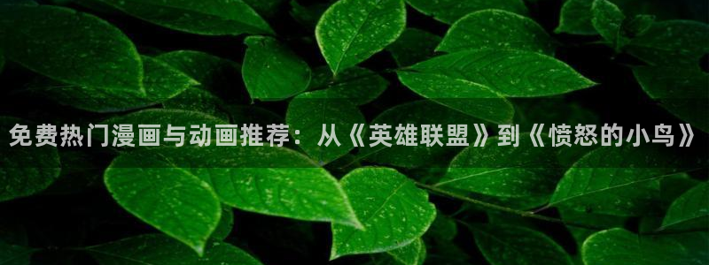 同人动漫观看网站：免费热门漫画与动画推荐：从《英雄联盟》到《愤怒的小鸟》