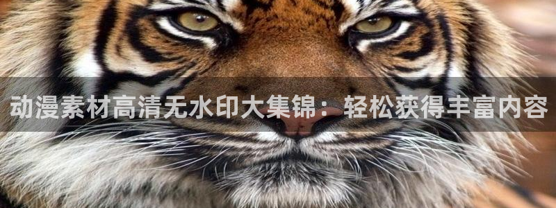 免费动漫同人动漫：动漫素材高清无水印大集锦：轻松获得丰富内容